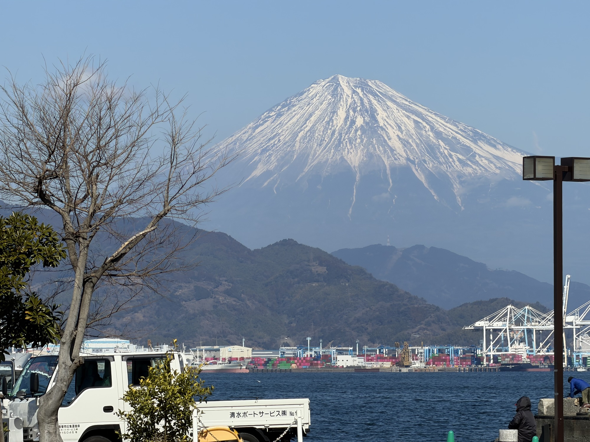 テスト用投稿
